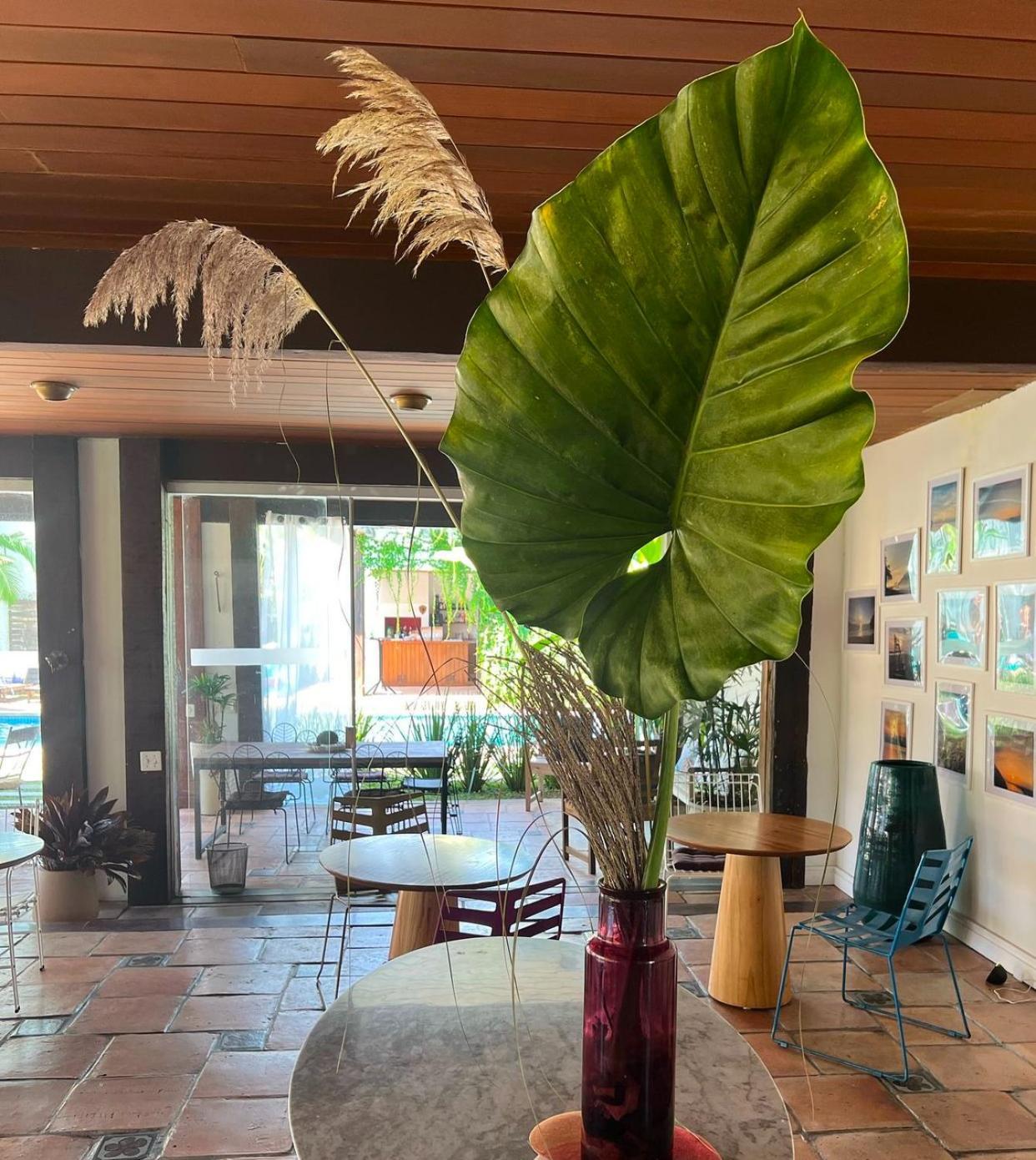 Hotel Casa Paradiso Guarujá Dış mekan fotoğraf